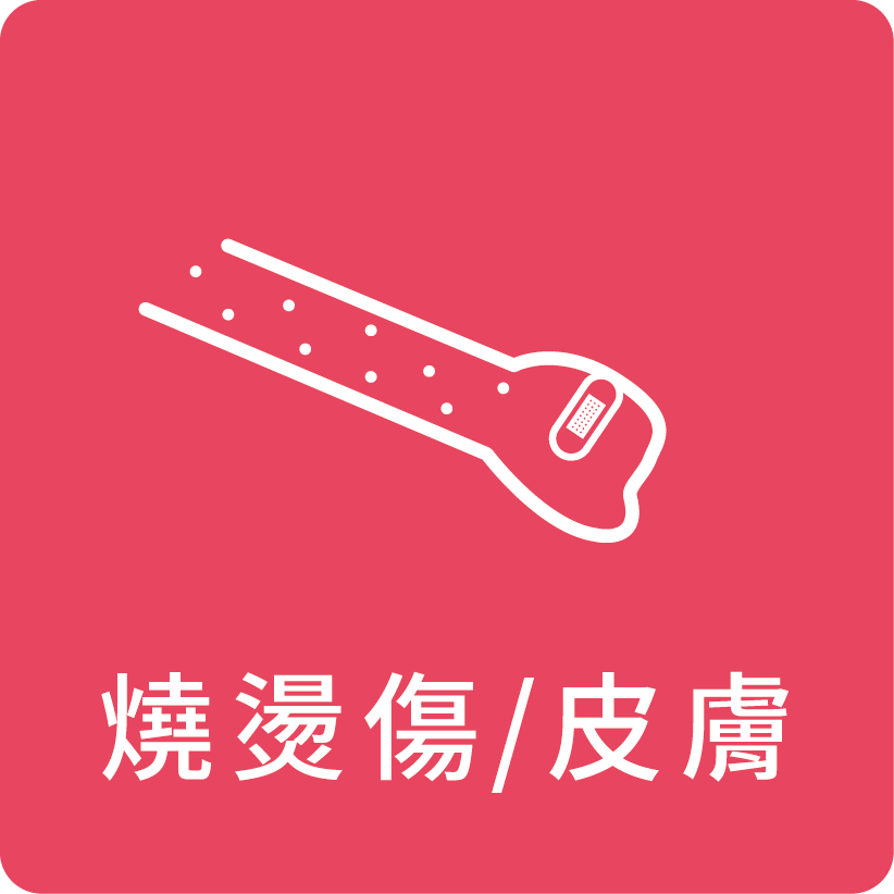 燒燙傷/皮膚